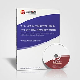 2015-2020年中國(guó)軟件外包服務(wù)行業(yè)運(yùn)營(yíng)策略與投資前景預(yù)測(cè)